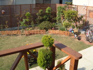 My garden (west side)