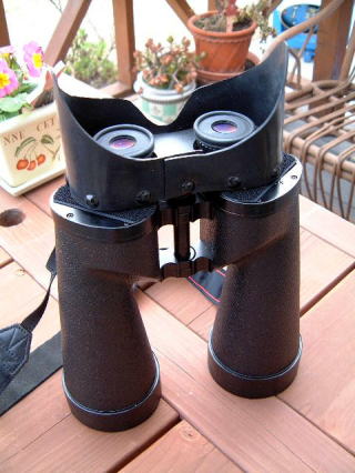 Binocular attached goggles