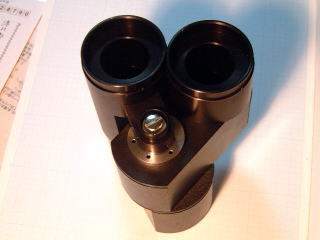 Bigwing at minimum eye width