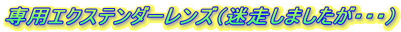pGNXe_[Yi܂EEEj